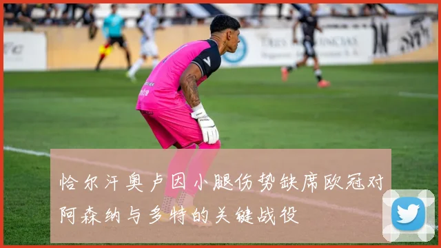 恰尔汗奥卢因小腿伤势缺席欧冠对阿森纳与多特的关键战役